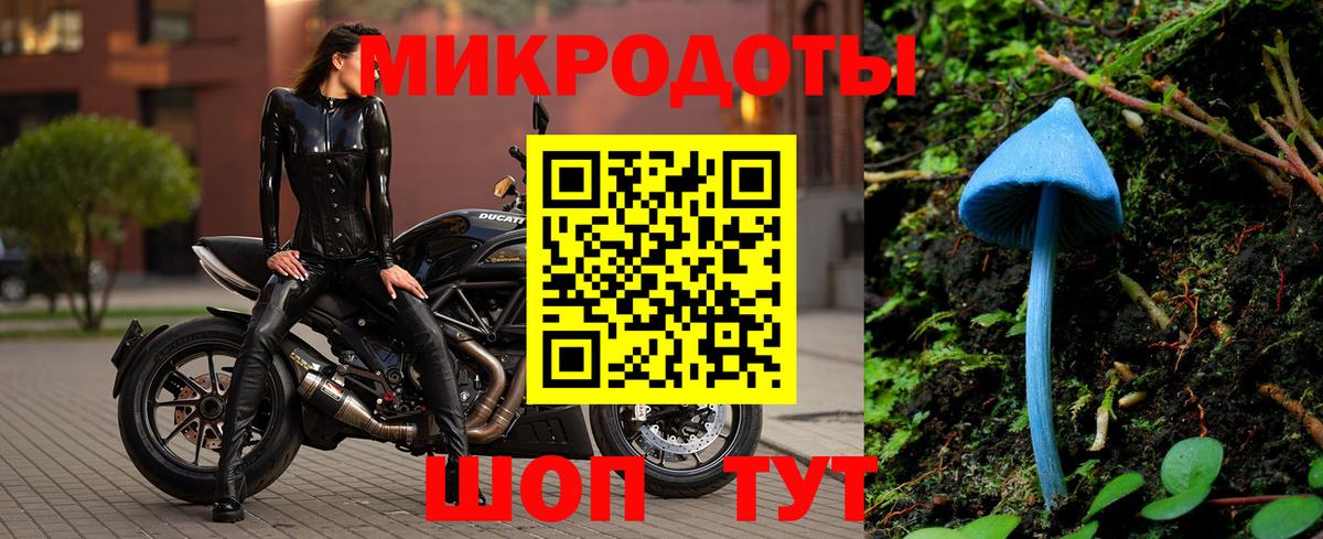 Псилоцибиновые грибы GOLDEN TEACHER Орёл